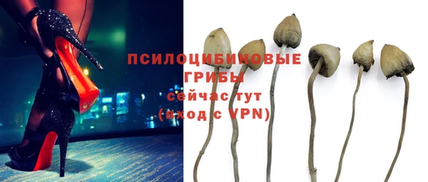 винт Богданович