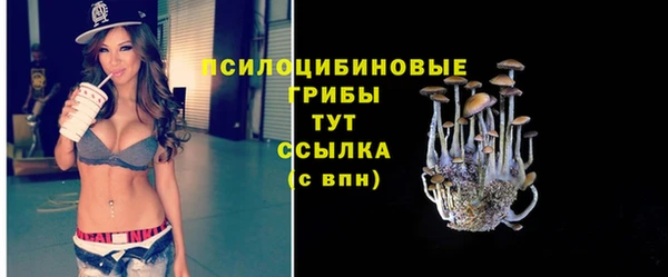 трава Бородино