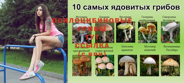MESCALINE Богородск