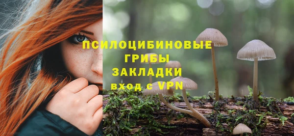 MESCALINE Богородск